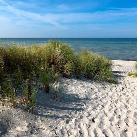 Daenische Ferienhaeuser Am Salzhaff Haus Vogelparadies Insel Poel Kültér fotó