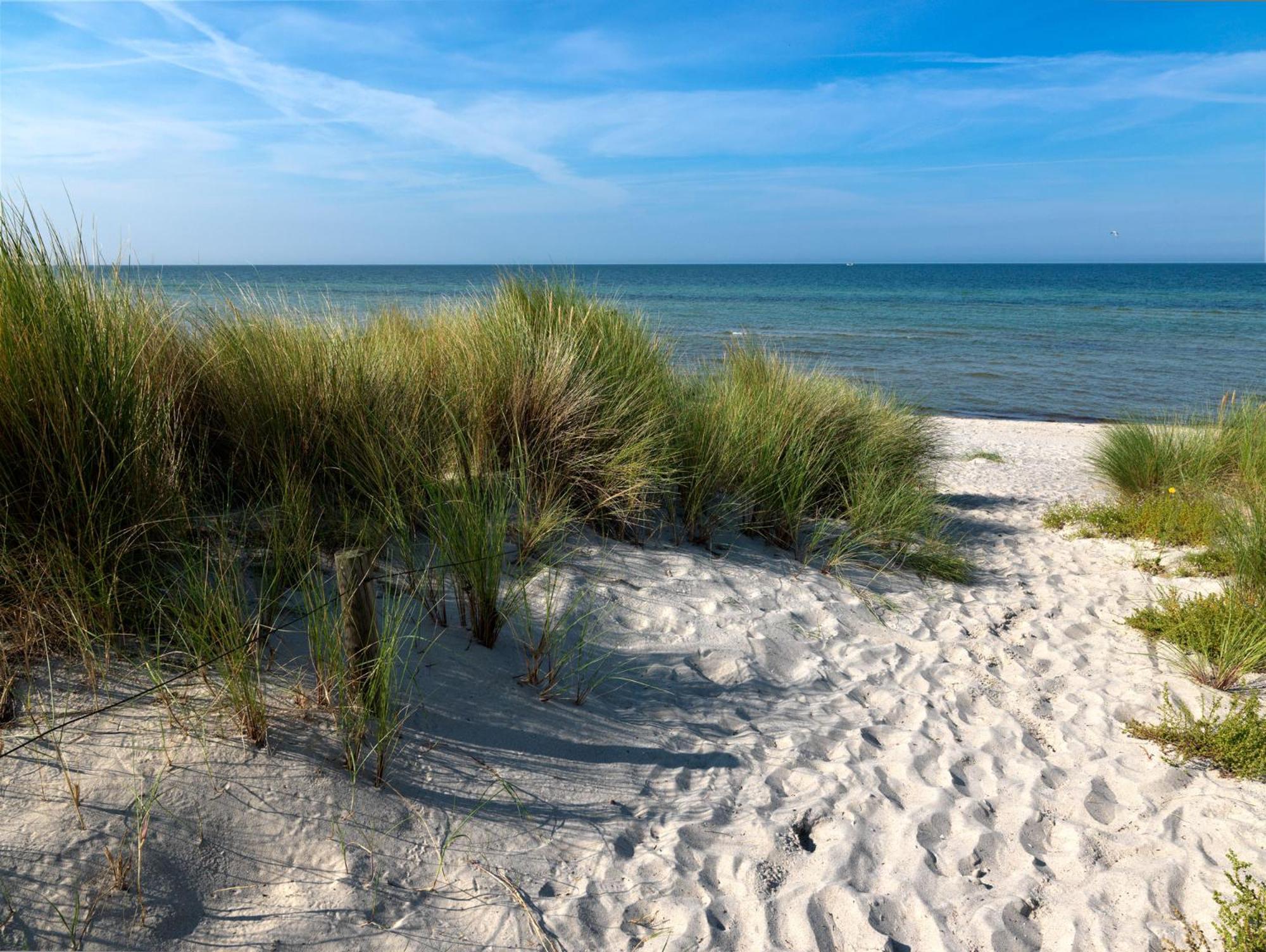 Daenische Ferienhaeuser Am Salzhaff Haus Vogelparadies Insel Poel Kültér fotó