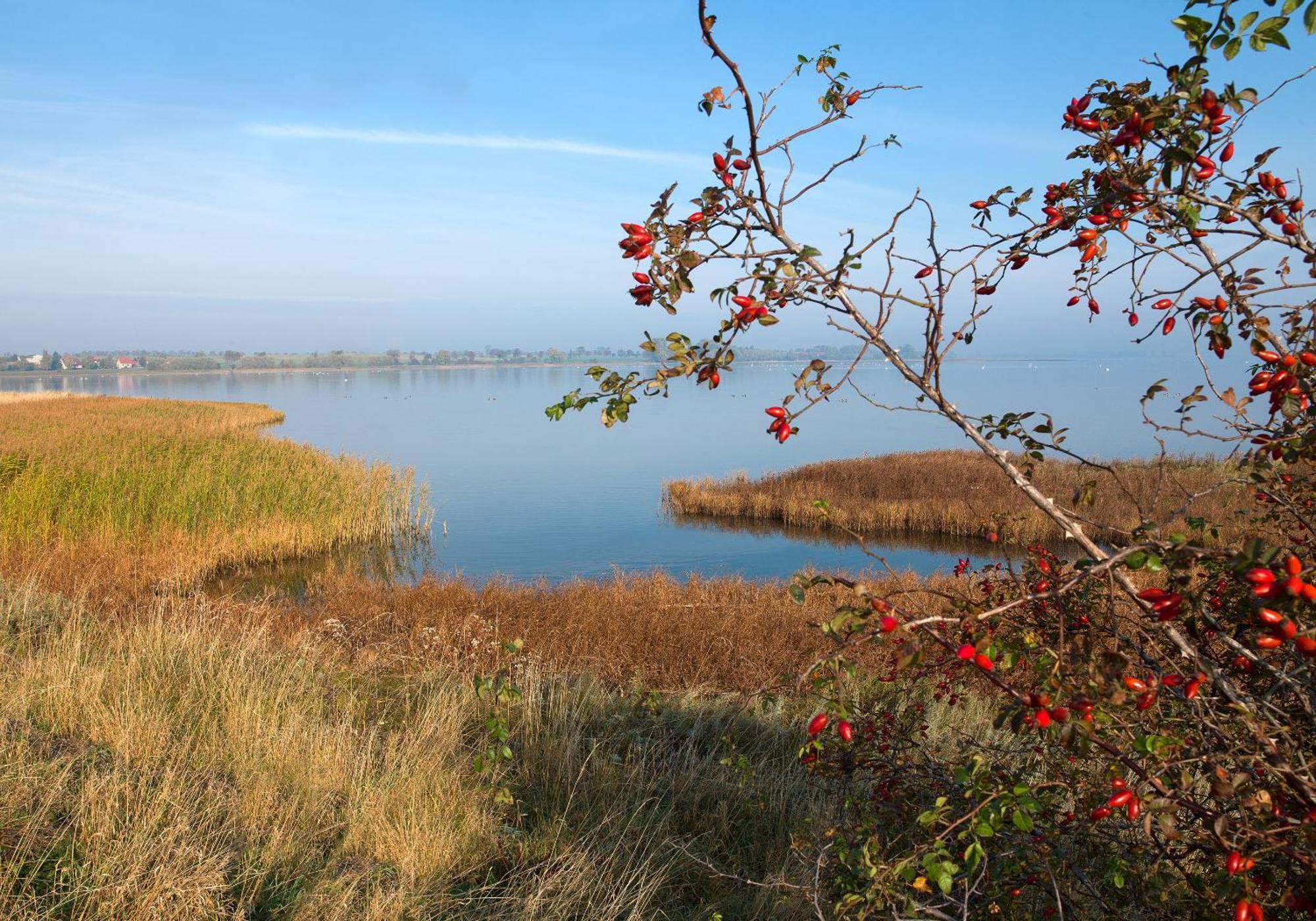 Daenische Ferienhaeuser Am Salzhaff Haus Vogelparadies Insel Poel Kültér fotó